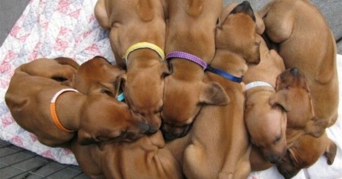 That One Thing That Can Change Everything... image